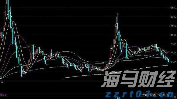 广西“各族青少年交流计划·桂在行动”主题活动走进六陈镇