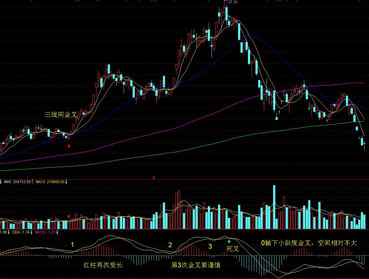 熊海峰教授走进广东塔牌集团股份有限公司开展2025院士专家入百企进百校（梅州行）活动