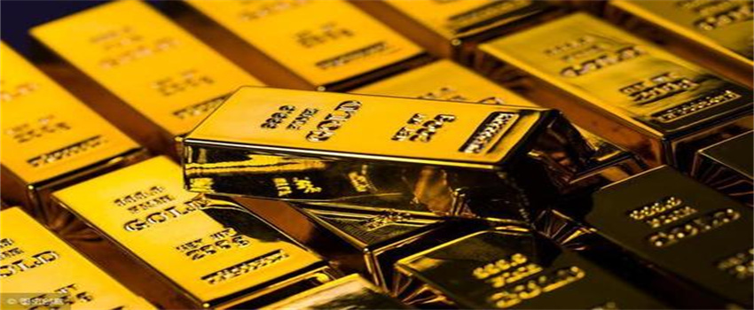 被蛇咬后怎么自救？湛江蛇伤救治专家划重点